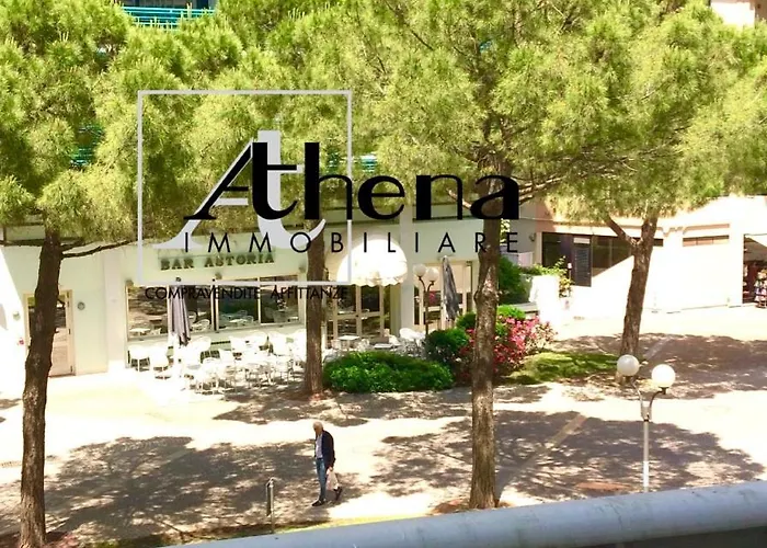 Zipser 23 غرادو